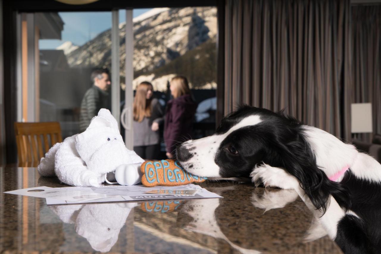 Copperstone Resort By Clique Canmore Dış mekan fotoğraf